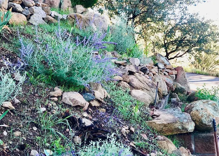 Appartement Eagles Nest Casita Luxury King Memory Foam Bed Feather Pillows & Duvet Amazing Views, Private Balcony, Great Location & Dog Friendly Prescott